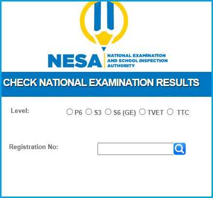 check national examination results, nesa